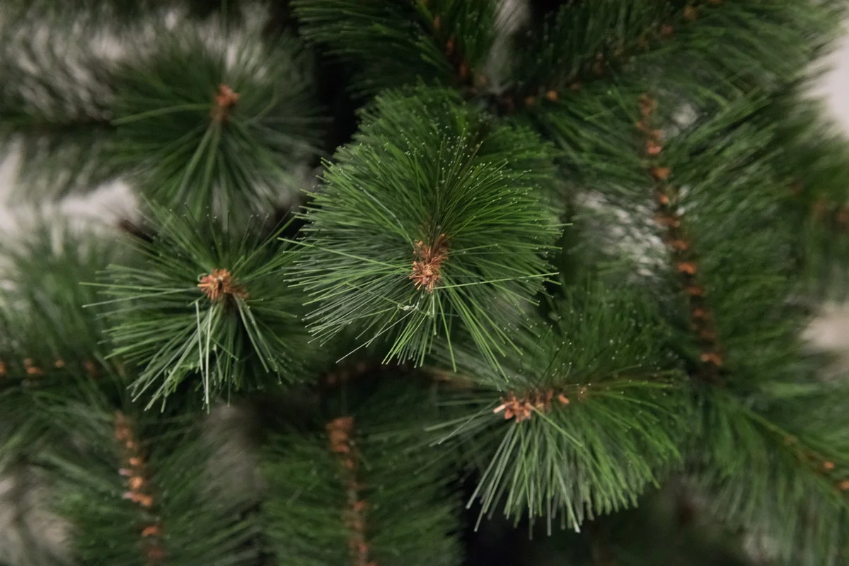 Novogodišnja jelka 80 cm Bor zelena - 20301-1 Novogodišnja jelka 80 cm Bor zelena - 20301-1